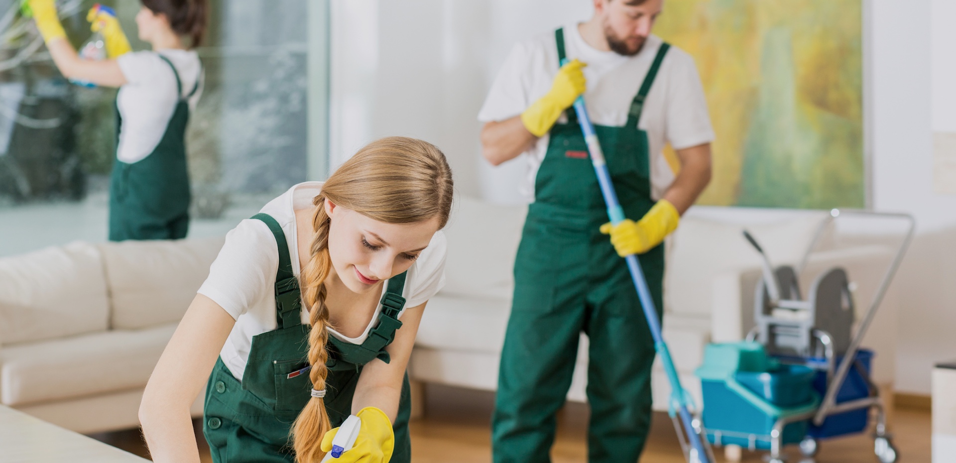 wow cleaning services